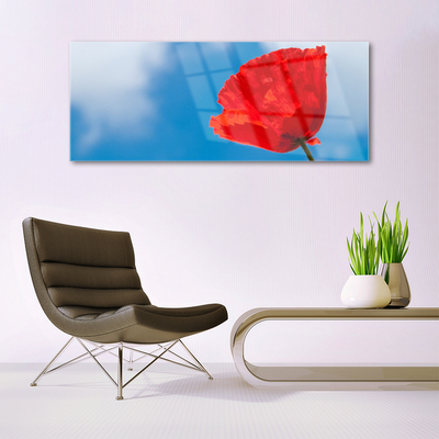 Slika na akrilnem steklu Tulip na wall