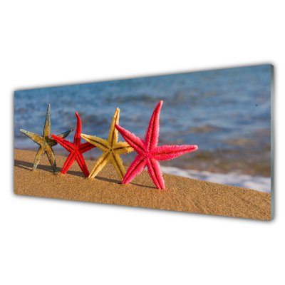 Slika na akrilnem steklu Starfish beach art
