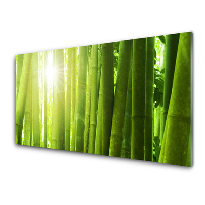Slika na akrilnem steklu Bamboo rastlin