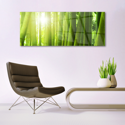 Slika na akrilnem steklu Bamboo rastlin