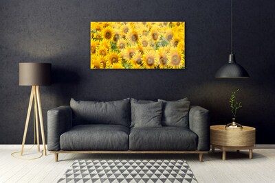 Slika na akrilnem steklu Sončnica rastlin narava