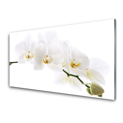 Slika na akrilnem steklu Orhideje