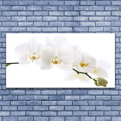Slika na akrilnem steklu Orhideje