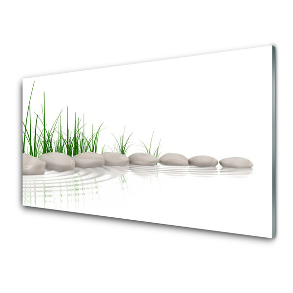 Slika na akrilnem steklu Stones grass art