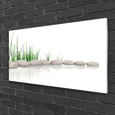 Slika na akrilnem steklu Stones grass art