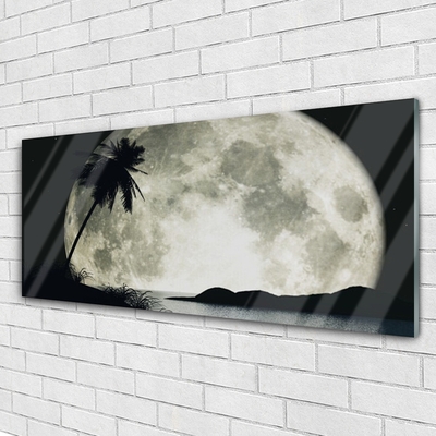 Slika na akrilnem steklu Nočni moon landscape palm