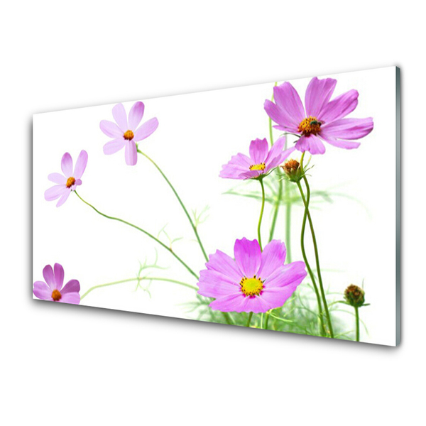 Slika na akrilnem steklu Cvetovi rastlin