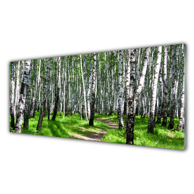 Slika na akrilnem steklu Grass drevesa narava
