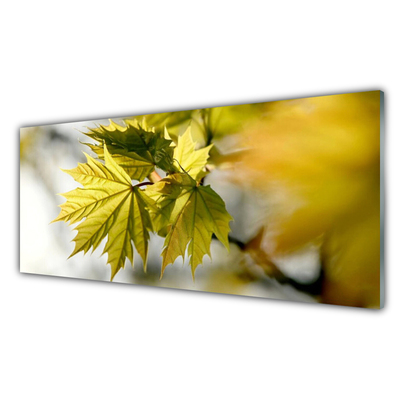 Slika na akrilnem steklu Rastlinski listi