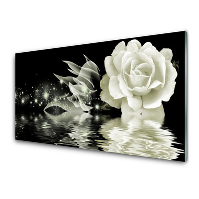 Slika na akrilnem steklu Rose flower rastlin