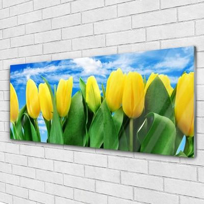 Slika na akrilnem steklu Tulipani cvetje