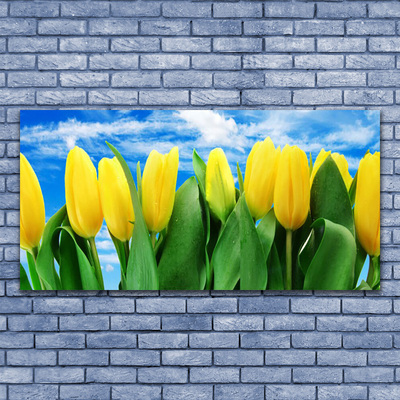Slika na akrilnem steklu Tulipani cvetje