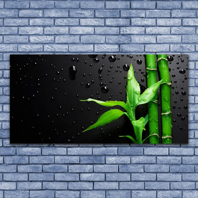 Slika na akrilnem steklu Bamboo listi rastlin