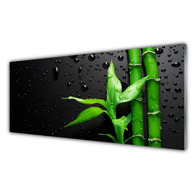 Slika na akrilnem steklu Bamboo listi rastlin