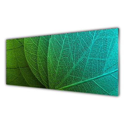 Slika na akrilnem steklu Povzetek listih rastlin