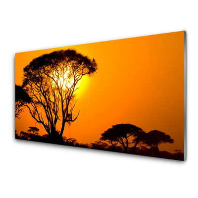 Slika na akrilnem steklu Narava drevo sonce