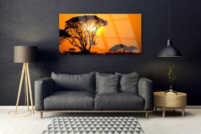 Slika na akrilnem steklu Narava drevo sonce