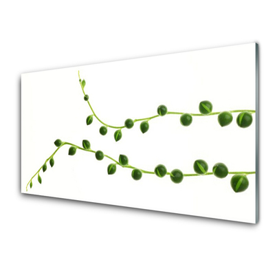 Slika na akrilnem steklu Okrasna rastlina
