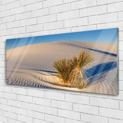 Slika na akrilnem steklu Pokrajina desert sand