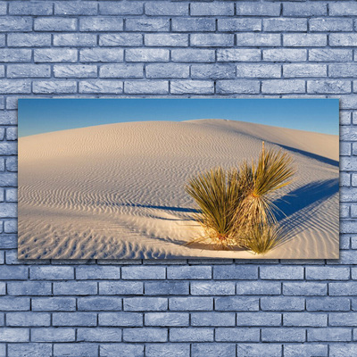 Slika na akrilnem steklu Pokrajina desert sand