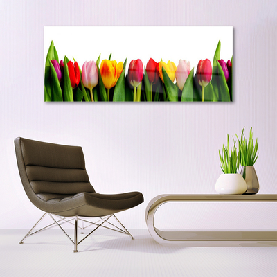 Slika na akrilnem steklu Rastlin tulipani