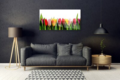 Slika na akrilnem steklu Rastlin tulipani