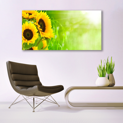 Slika na akrilnem steklu Rastlinski sončnice