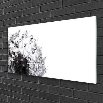 Slika na akrilnem steklu Dandelion rastlin