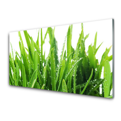 Slika na akrilnem steklu Travnate bilke
