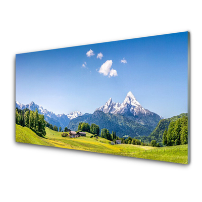 Slika na akrilnem steklu Polja drevesa mountain landscape
