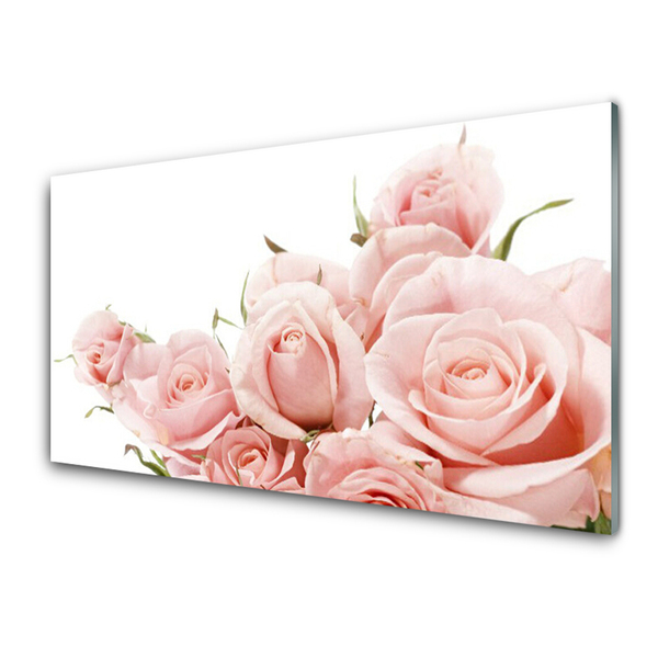 Slika na akrilnem steklu Roses flowers rastlin