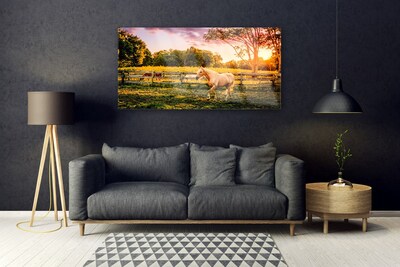 Slika na akrilnem steklu Horse meadow narava živali
