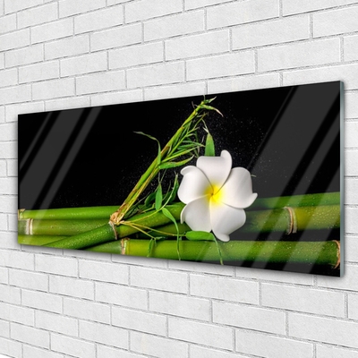 Slika na akrilnem steklu Bamboo flower rastlin