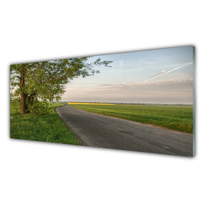 Slika na akrilnem steklu Way tree grass landscape