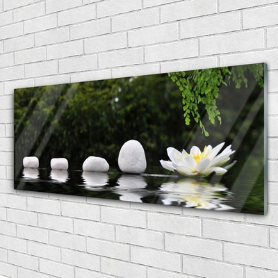 Slika na akrilnem steklu Lotus flower water lily