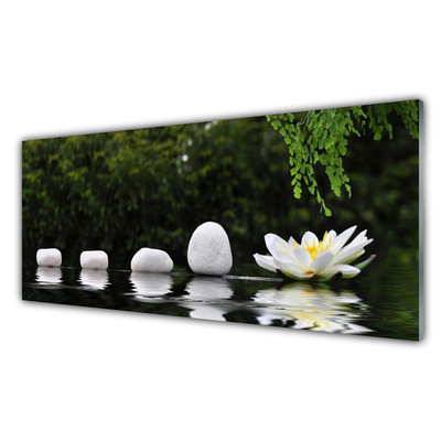 Slika na akrilnem steklu Lotus flower water lily