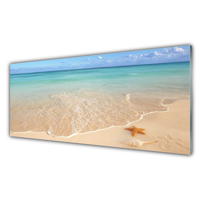 Slika na akrilnem steklu Starfish beach landscape