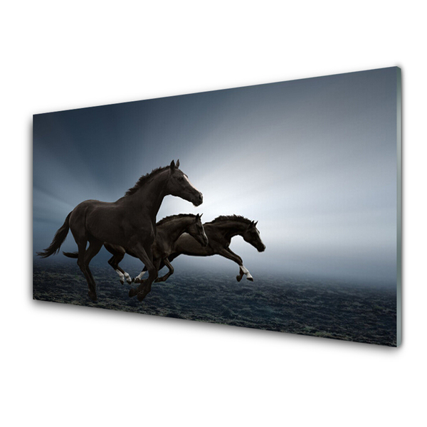 Slika na akrilnem steklu Konji živali
