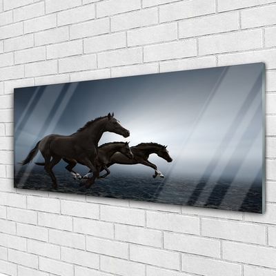 Slika na akrilnem steklu Konji živali