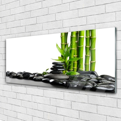 Slika na akrilnem steklu Bamboo beautiful grafika