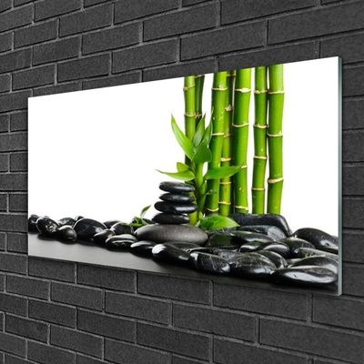 Slika na akrilnem steklu Bamboo beautiful grafika