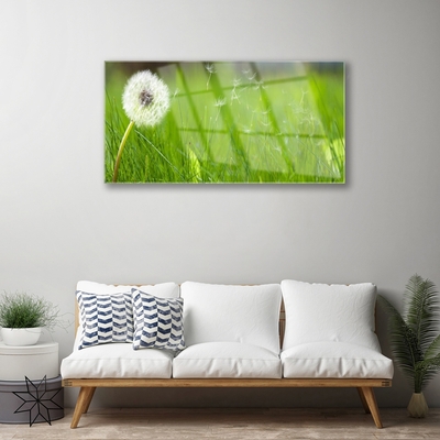 Slika na akrilnem steklu Dandelion grass rastlin