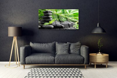 Slika na akrilnem steklu Rastlin bamboo poganjki