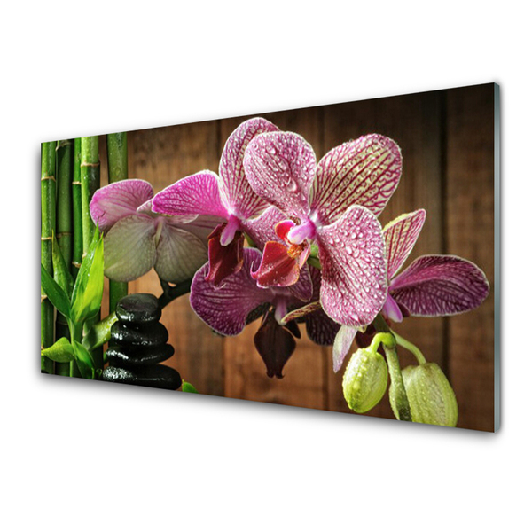 Slika na akrilnem steklu Cvetje bamboo rastlin