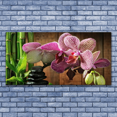 Slika na akrilnem steklu Cvetje bamboo rastlin