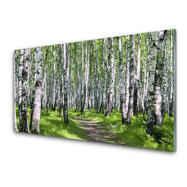 Slika na akrilnem steklu Gozdna drevesa narava pot