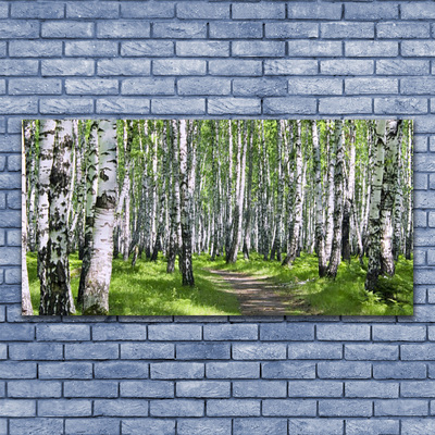 Slika na akrilnem steklu Gozdna drevesa narava pot
