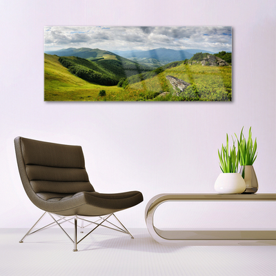 Slika na akrilnem steklu Mountain travnik landscape