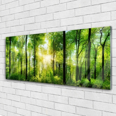Slika na akrilnem steklu Narava gozdnega drevja