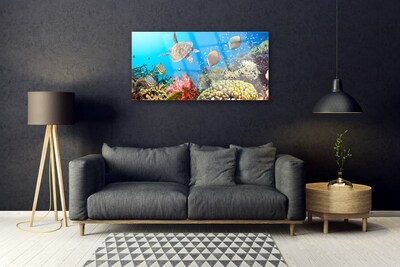 Slika na akrilnem steklu Barrier reef landscape